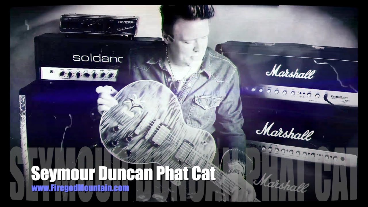 Seymour Duncan - Phat Cat P90