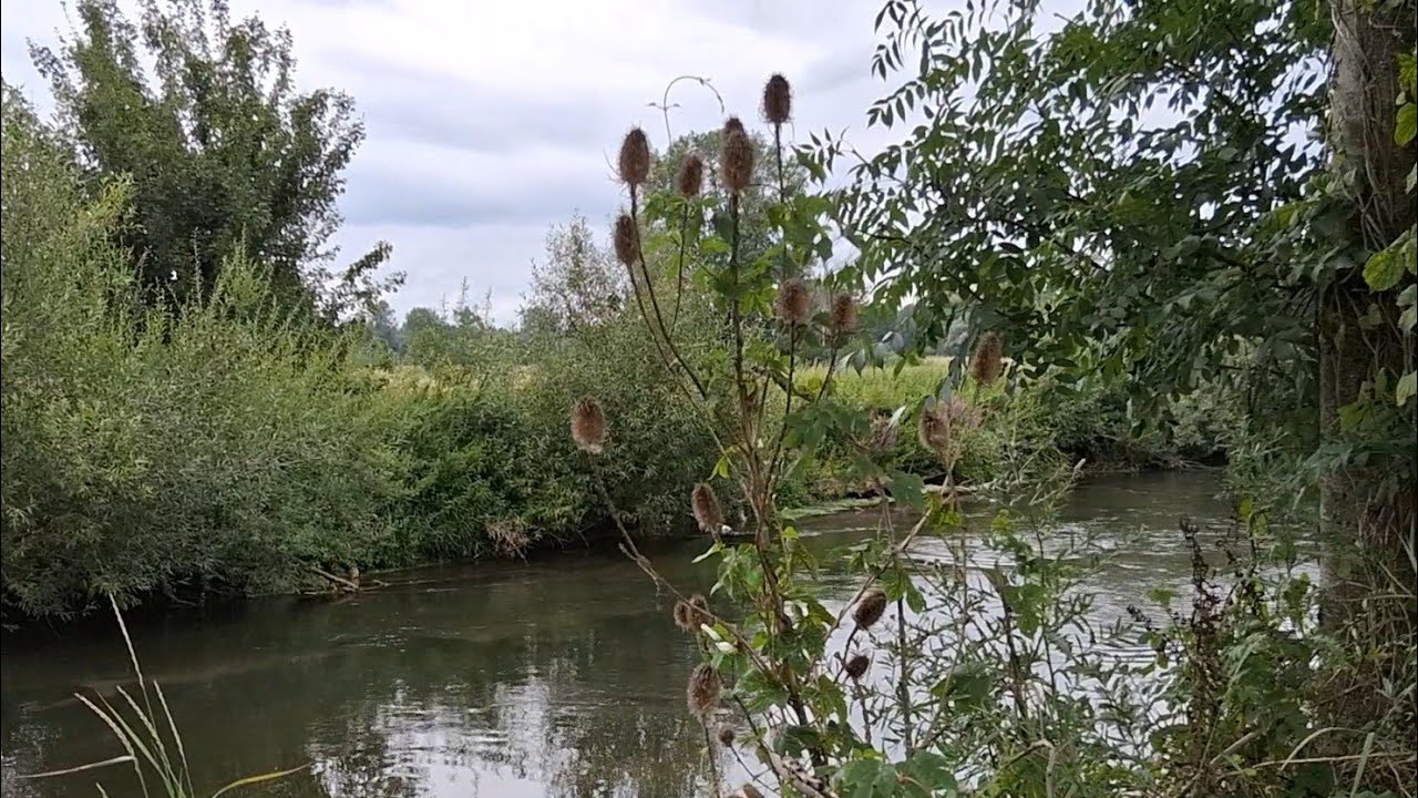 👟 🍀 🌫 🏵 🌳 ☁️ 3) Am Flüßchen Muehlbach (ELSAß - Bas-Rhin) // 3) La rivière Muehlbach (Bas-Rhin)