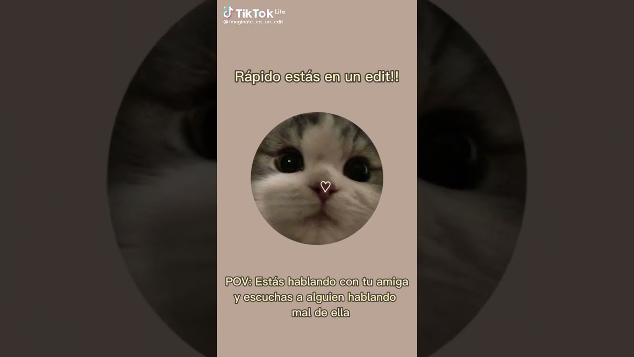 ¡Rápido estas en un edit!