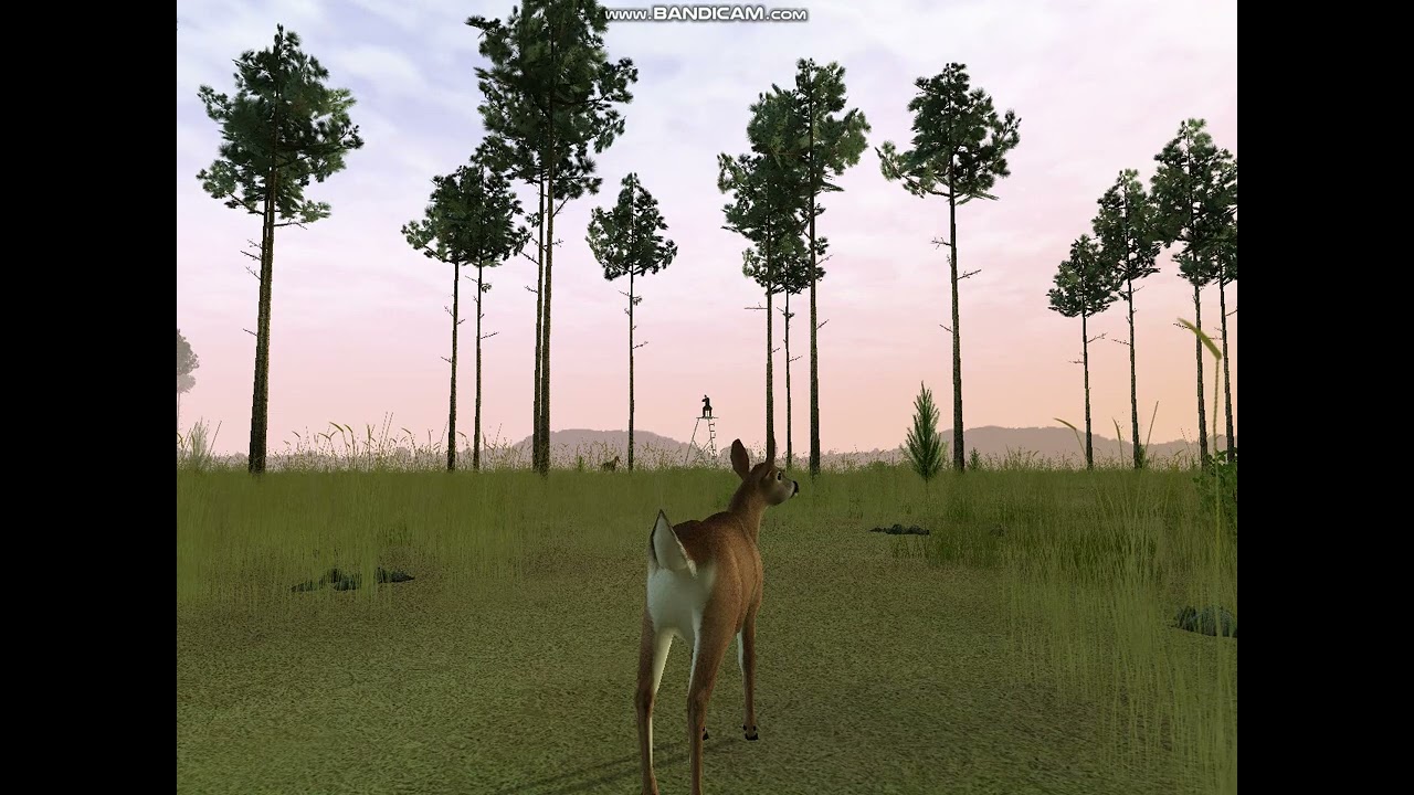 Deer Hunter The 2005 Season: Recorded Hunt #2