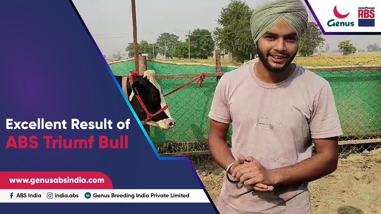 Excellent Result of ABS Triumf Bull: Success Story of Mr. Karanveer Singh