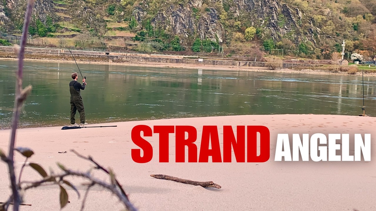 STRAND-ANGELN am Rhein 🏝️ Mein sch&ouml;nster Spot! | Zander