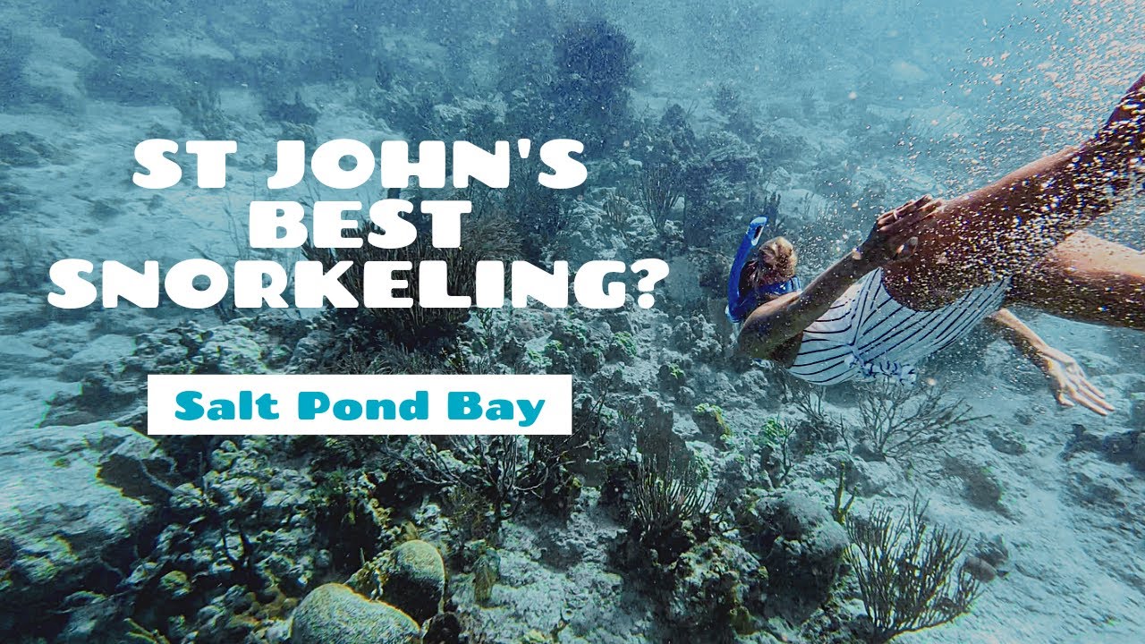 Salt Pond Bay Beach - St John, USVI Snorkeling - 4K