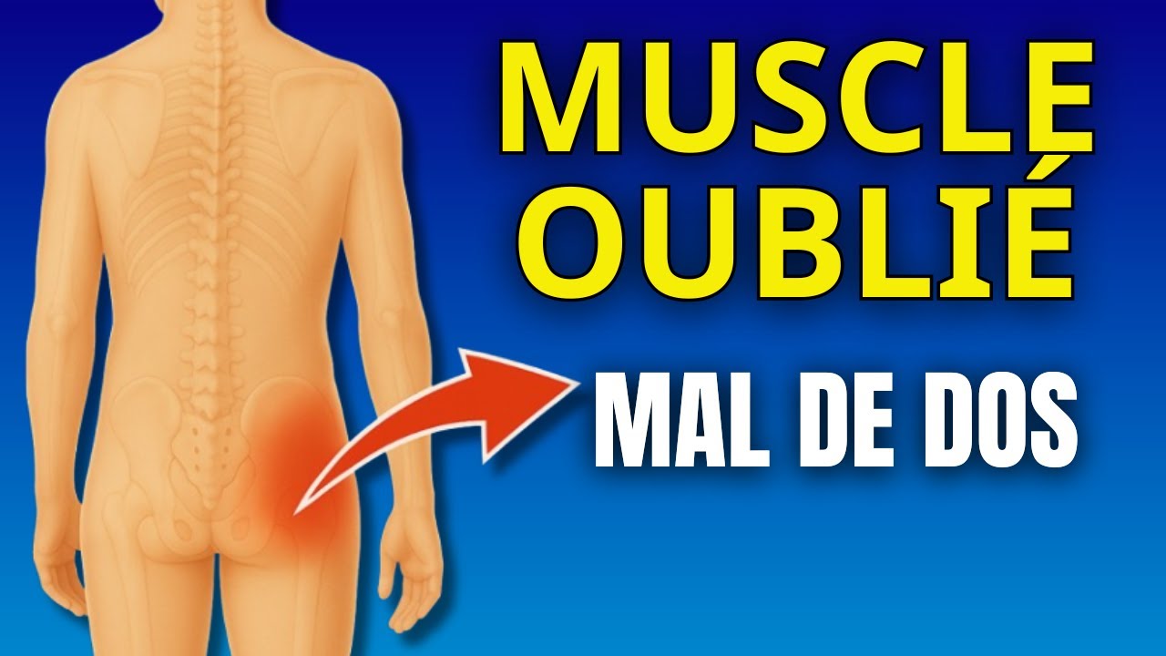 Le moyen fessier : le muscle essentiel que personne ne renforce (+ exercice essentiel)