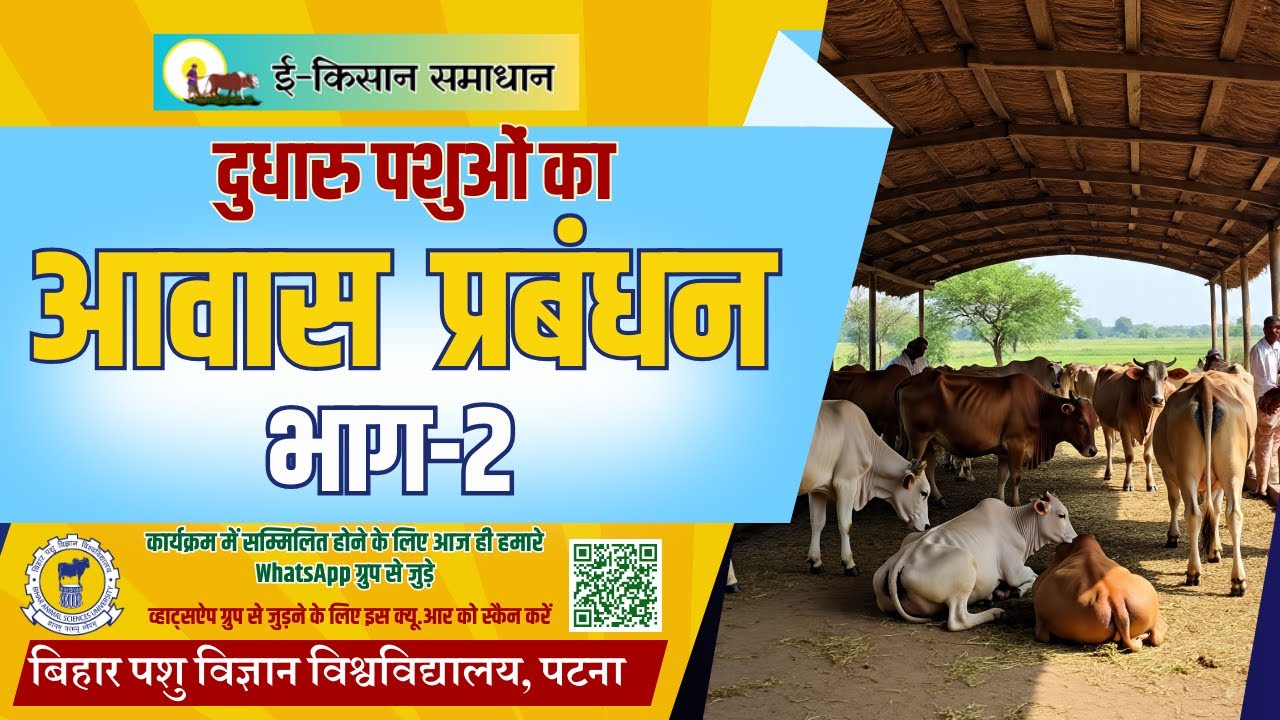 👉 दुधारु पशुओं का आवास एवं शेल्टर प्रबंधन | Dairy Cattle Housing & Shelter Management | Part-2