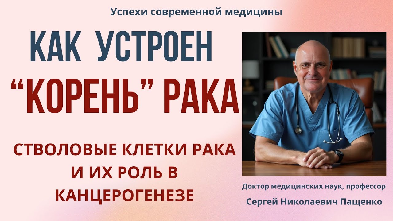 Корень рака, как он устроен? Что такое стволовая клетка рака?