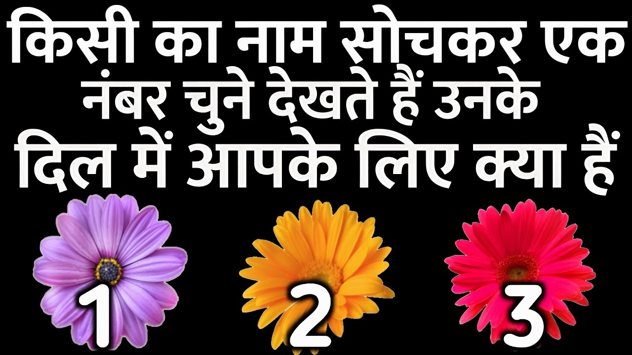 tarot card reading उनके दिल में आपके लिए क्या हैं choose one number चुने एक नंबर Hindi tarot reading