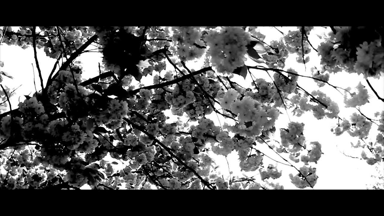 SmoothVee (Ft. Delicia) - Slow Down (Net Video)