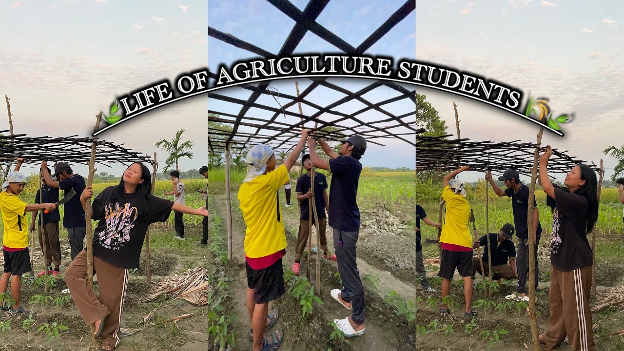 A day in my life as an agriculture student 👩‍🌾at Arunachal University of studies Namsai//AUS🍃