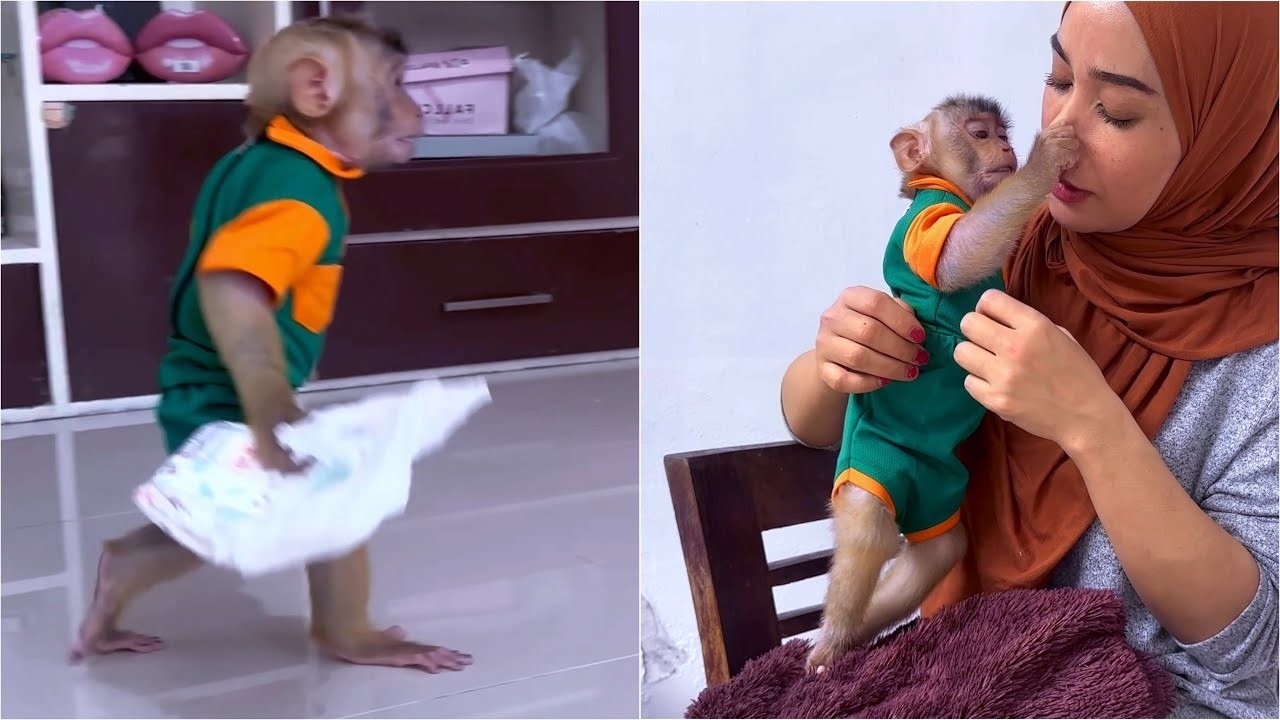 Alpha bothers Mommy because he wants his full diaper replaced