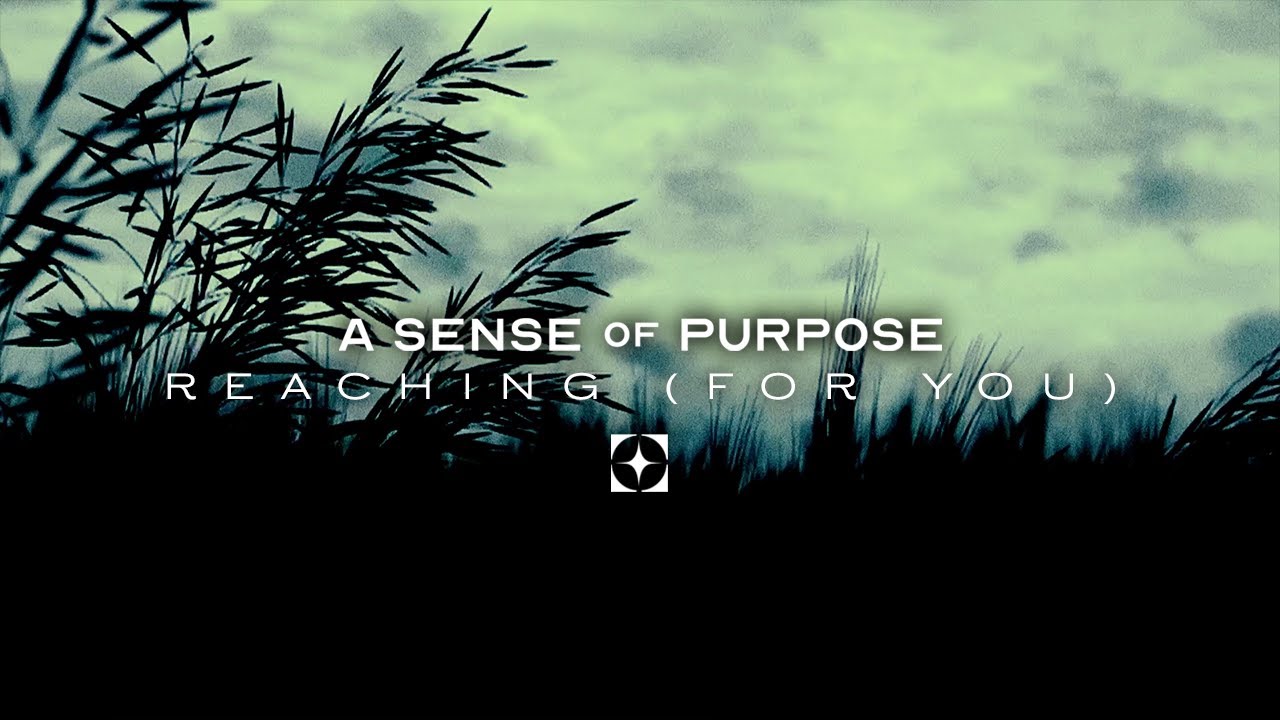 A Sense of Purpose - Reaching (For You) (Official Stream Video)