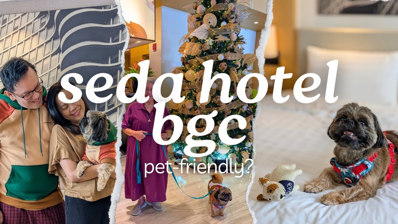 Hotel Stay with Our Dog to Escape New Year's Fireworks