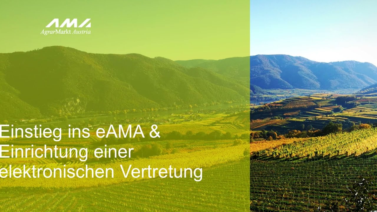 Einstieg ins eAMA und Einrichtung einer Vertretung