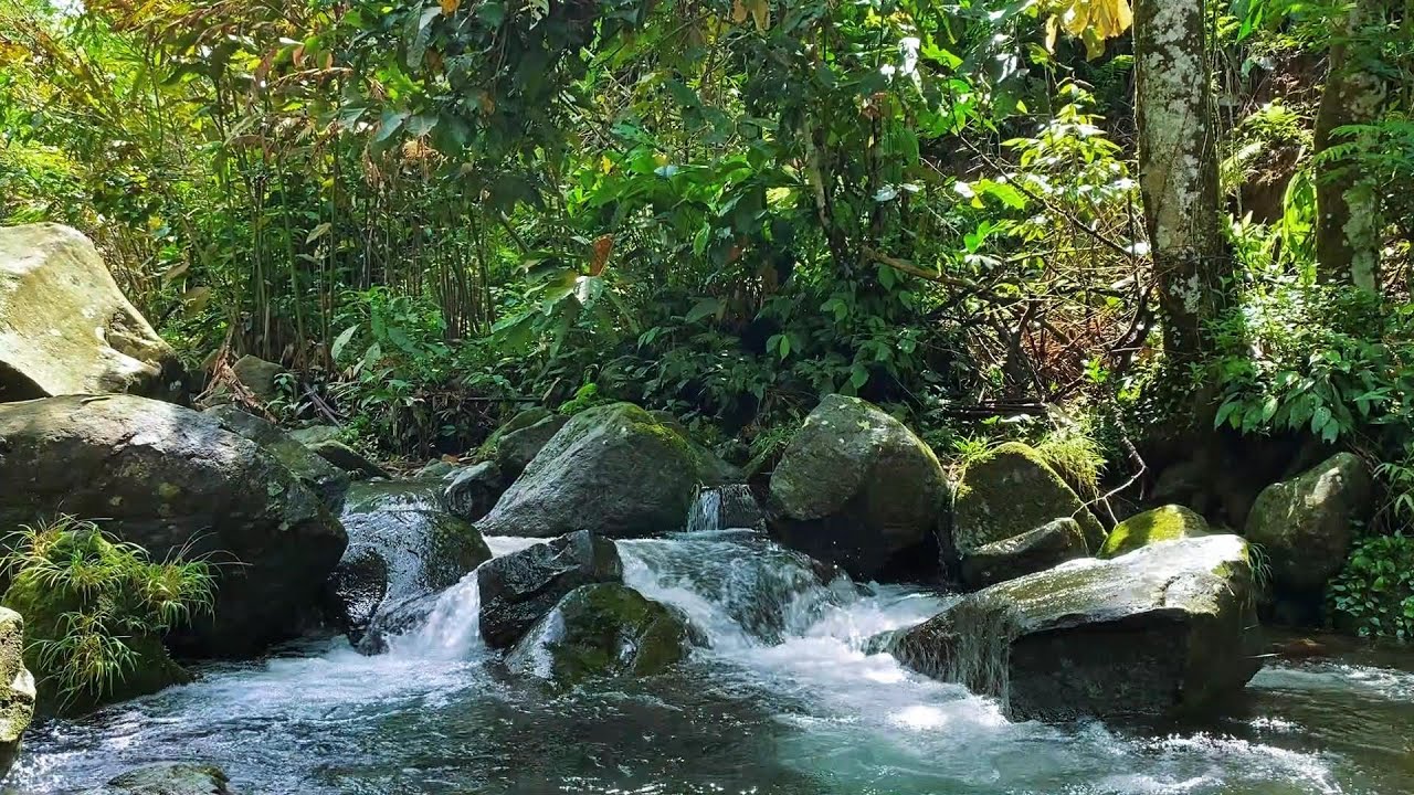 Can’t Concentrate? 🌿 Peaceful River Sounds to Restore Focus & Calm Mind