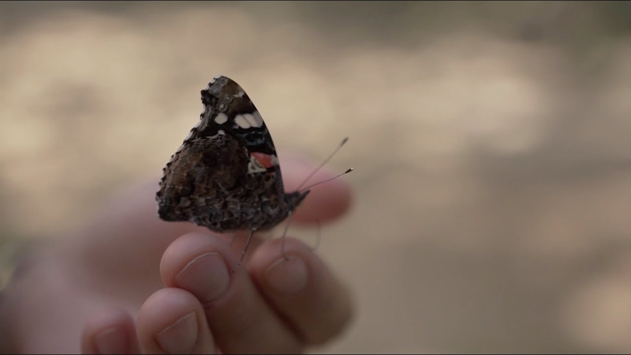 Dalra-Hangoló Paár Julcsival #04 - Nyitrai Marianna - Kötelékek, oldások