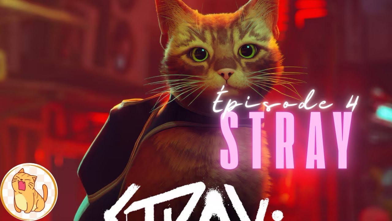 Doc, où es-tu ?? Épisode 4 Stray