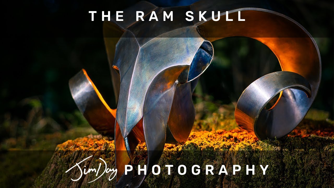 Ram Skull Welded Metal Sculpture by Joshua De Lisle – Still Life Photography