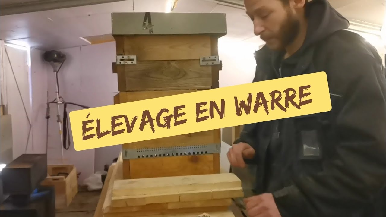 Elevage en Warre episode 1