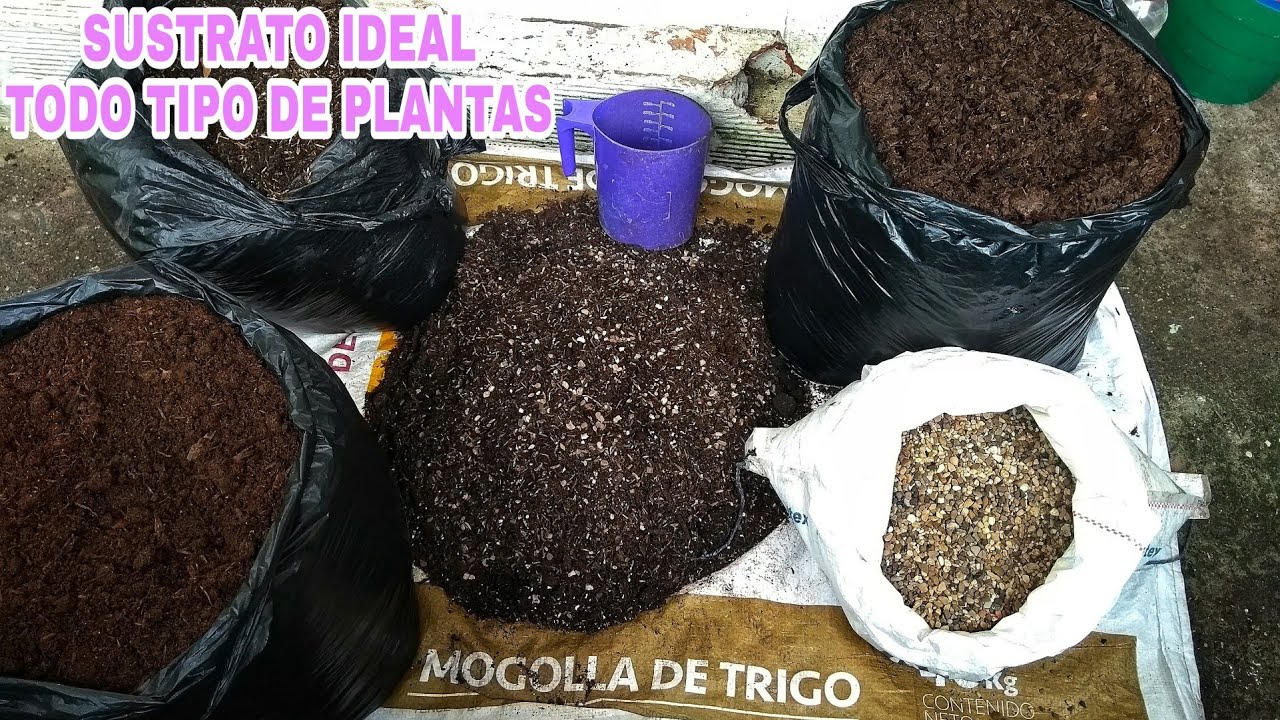 Preparando El Mejor SUSTRATO Para TODO Tipo De PLANTAS