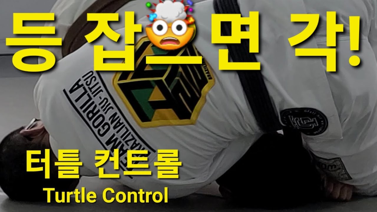 터틀 이스케이프 & 컨트롤 Turtle Escape & Control (기술도움 : 이지호) #터틀이스케이프 #터틀컨트롤 #TurtleEscape #TurtleControl