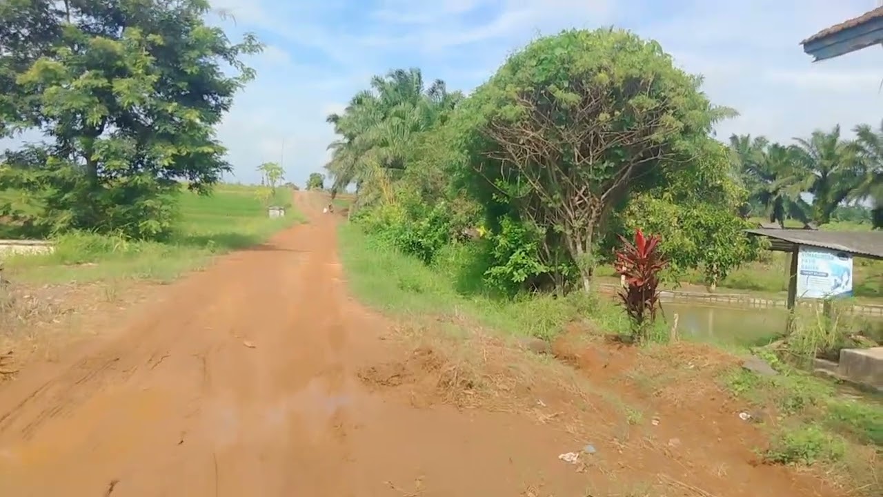 Perkampungan dusun Bumiraharjo Bumi ayu Lampung Tengah 