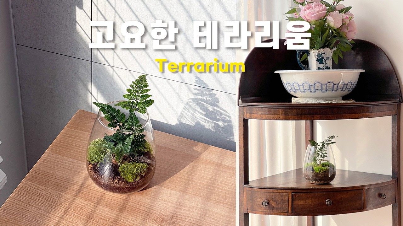 도롯 고요한 테라리움 DIY 제작영상