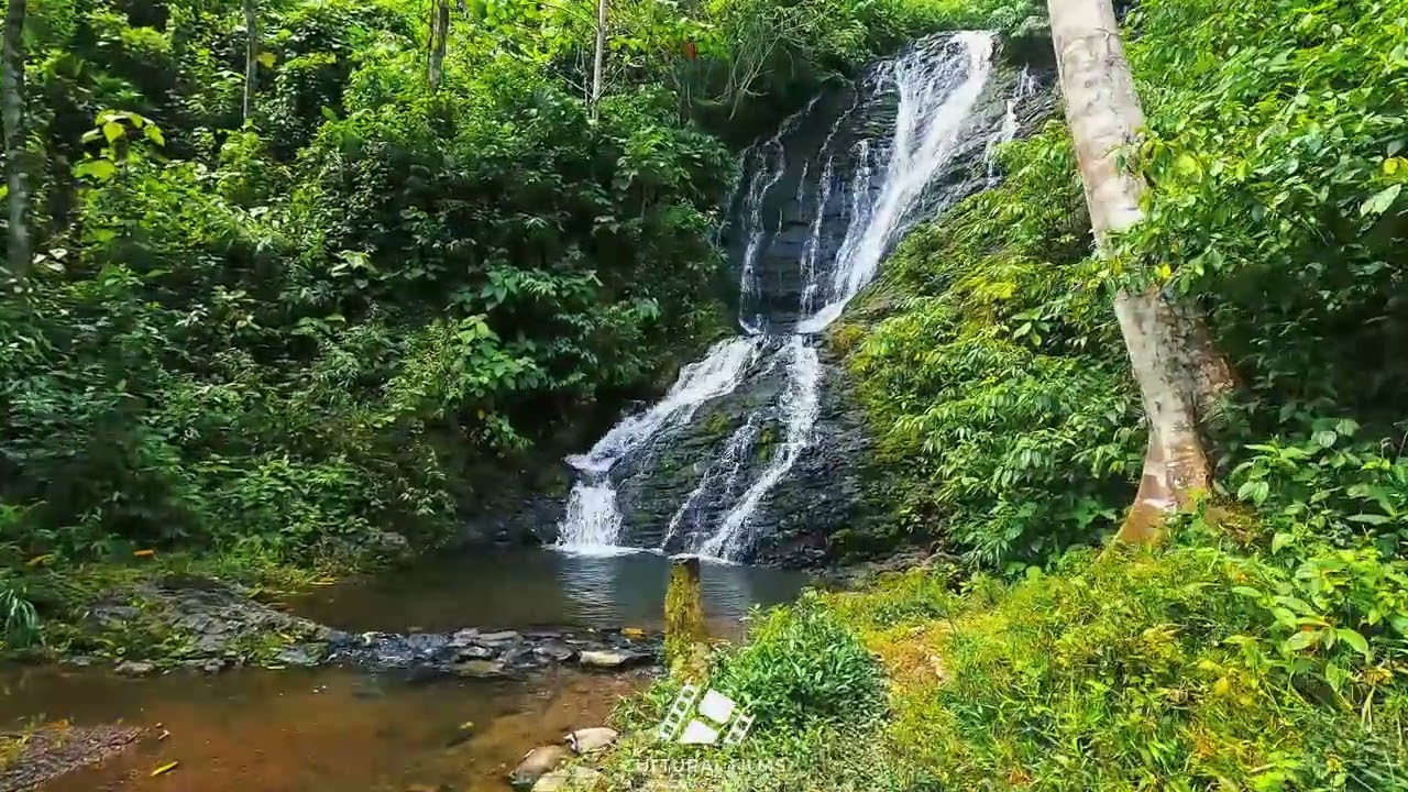 Esto Es lo Que Nadie Te Cuenta de Tingo María... 7 Lugares Inolvidables