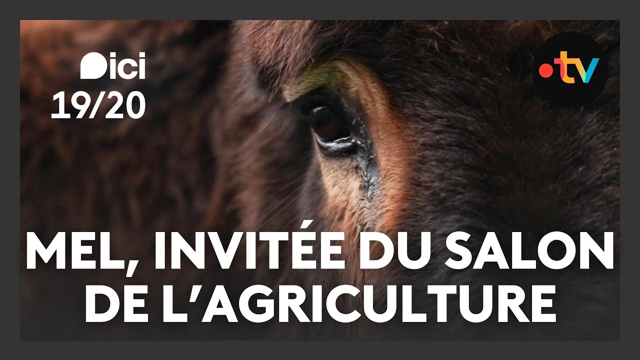 Mel a rendez-vous au salon de l'agriculture