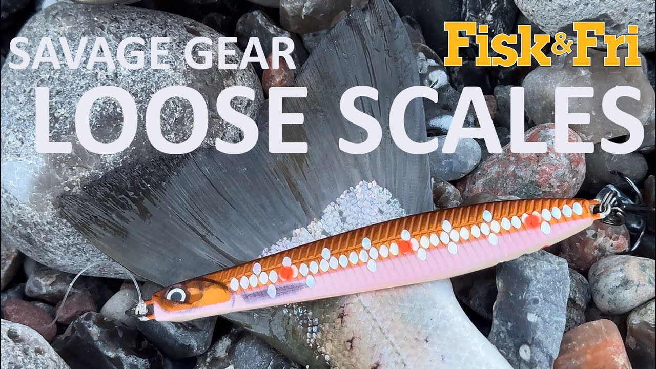 GREJNYT: LOOSE SCALES - LIMITED EDITION FARVER FRA SAVAGE GEAR [ENG SUBS]