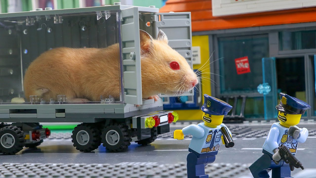 Hamster A-MAZE-ING LEGO Obstacle Course | Hamster Escapes from Prison Maze