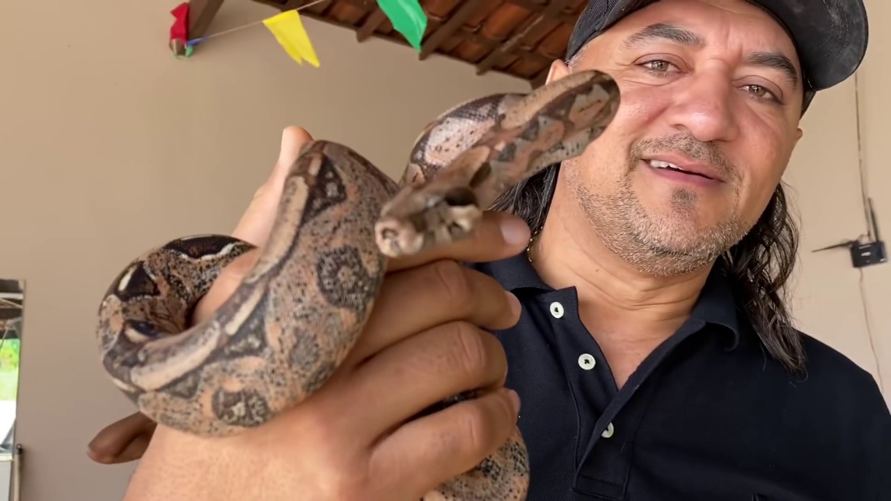CHARLLES RESGATA COBRA E TIRINGA FICA FURIOSO 😂 | COMÉDIA SELVAGEM ®