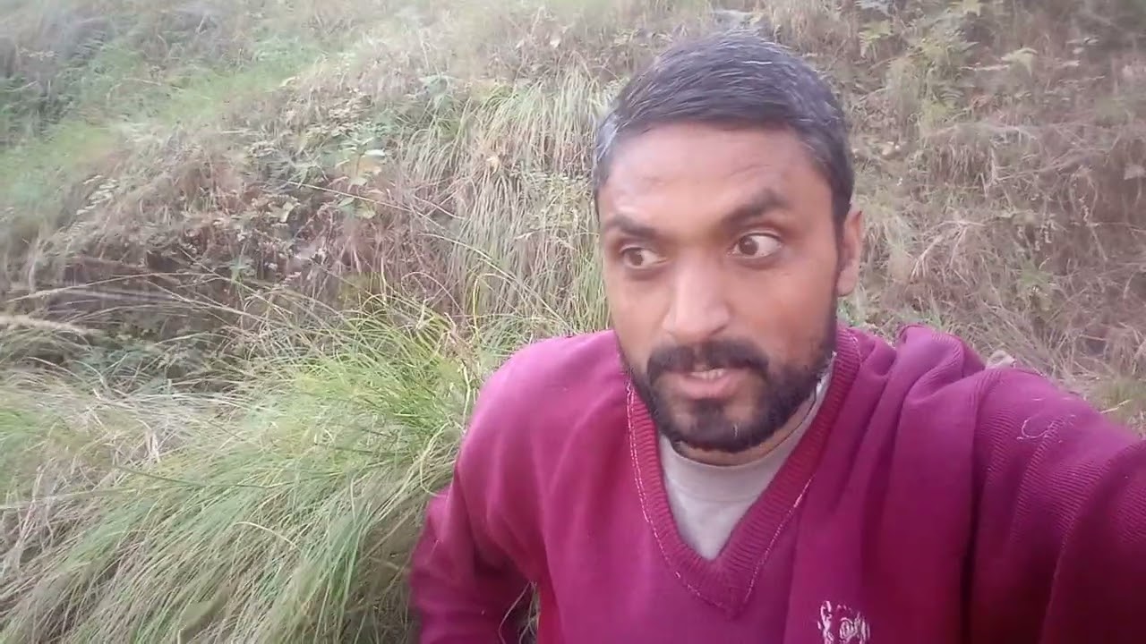  ##रामबांस  पहाड़ों का एक आर्थिक महत्व का पौधा## Agave cantala Ecnomic value 