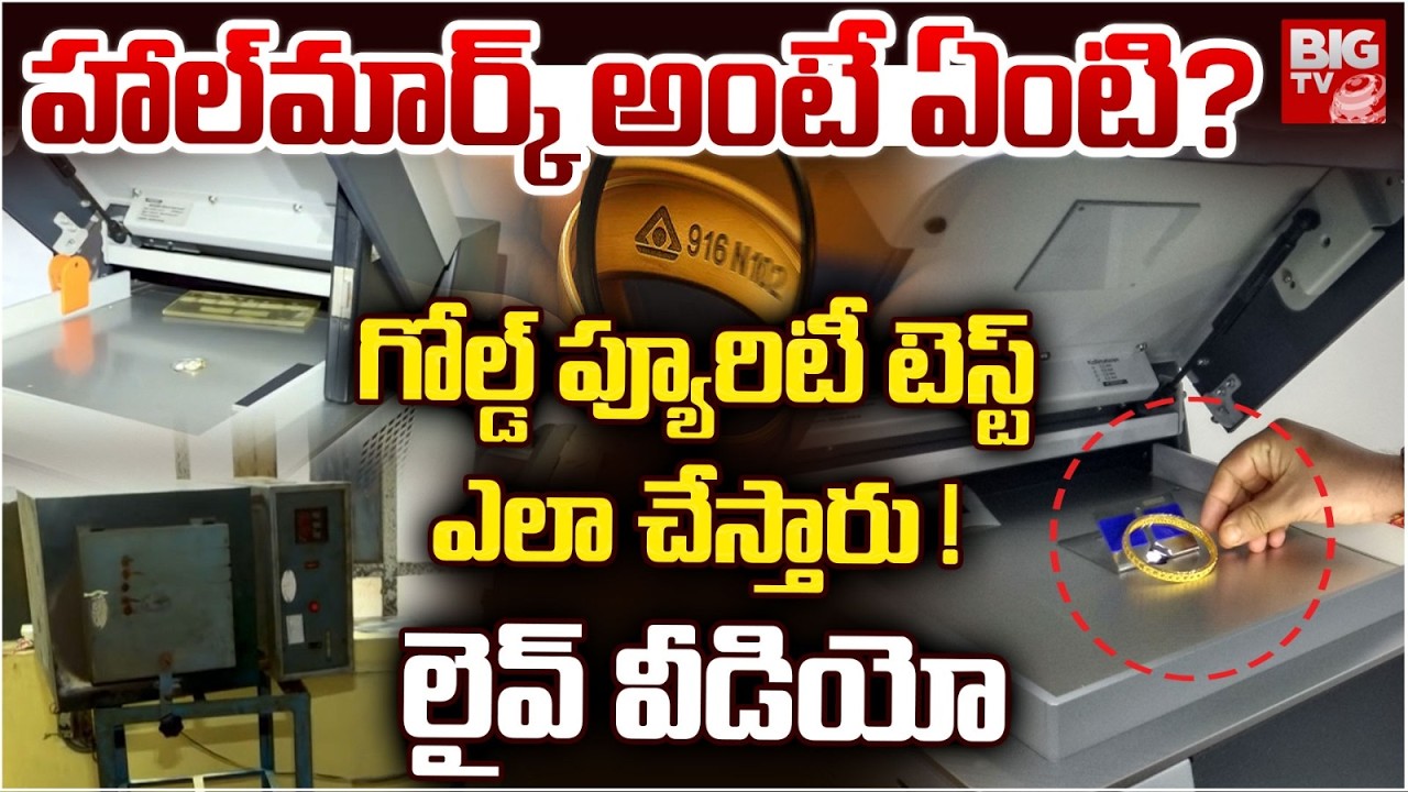How To Test Gold Purity: గోల్డ్ ప్యూరిటీ టెస్ట్ | Gold Purity Check | What is hallmarking? | BIG TV