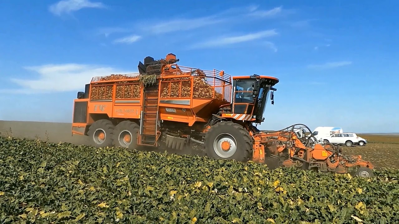 Sugarbeet production in Russia
