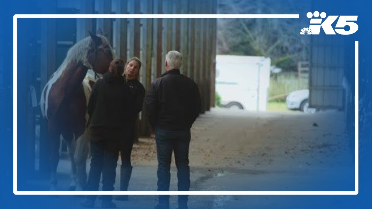 Livestock evacuations increase as rivers rise in Snohomish County
