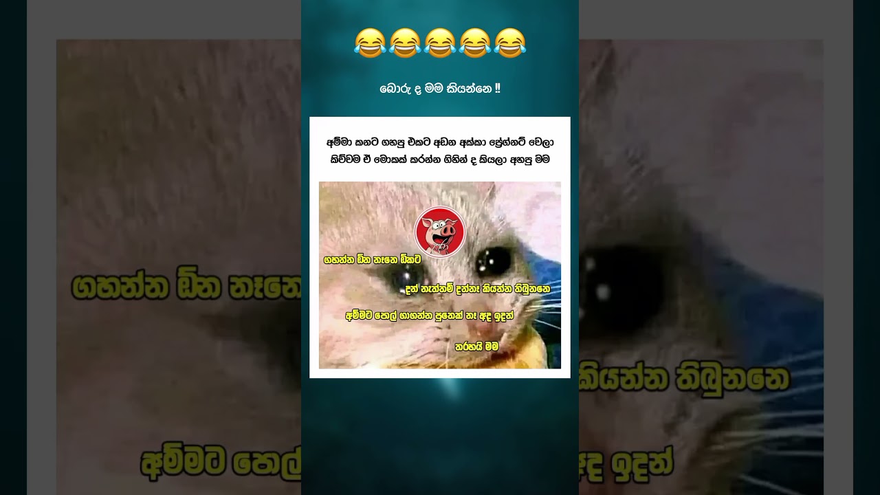 SL FUNNY SHORT 😂 