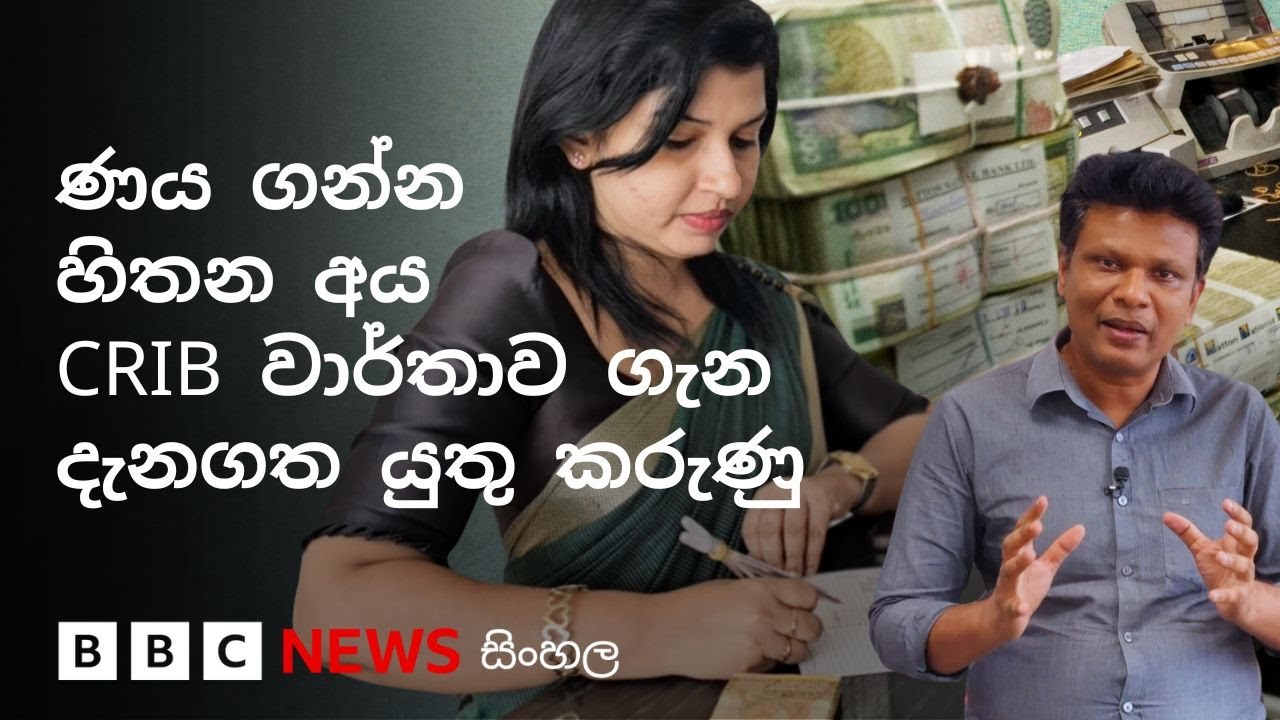 CRIB වාර්තාව ගැන ඔබ දැනගත යුතු කරුණු 08 | BBC News සිංහල