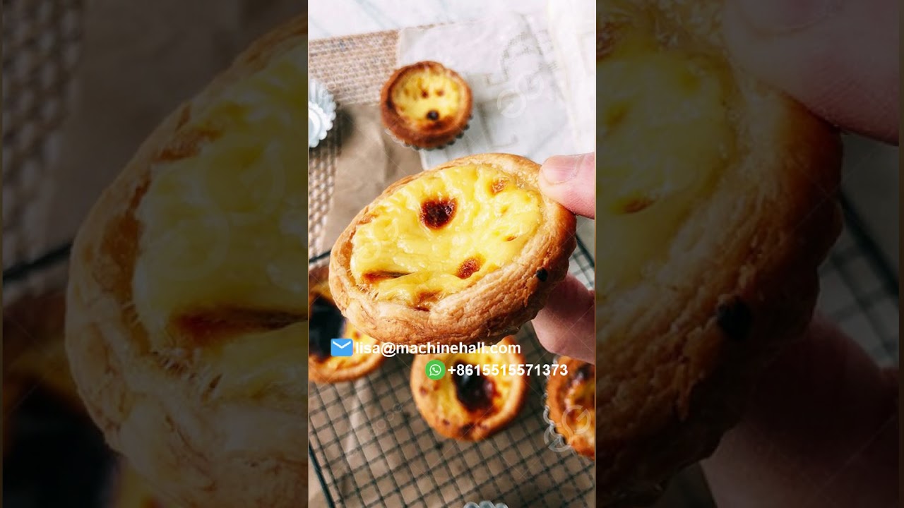 1800pcs/h Tartlet Maker Machine|Custard Tart Machine in Factory