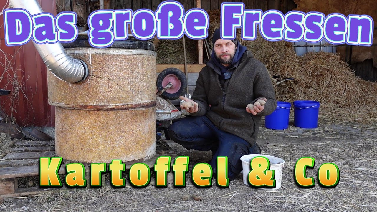 Fütterung all unserer Raubtiere und die Herausforderungen im Winter