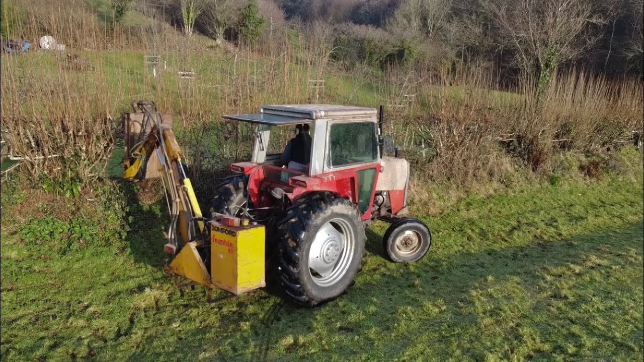 Massey Ferguson 590 Hedge Trimming