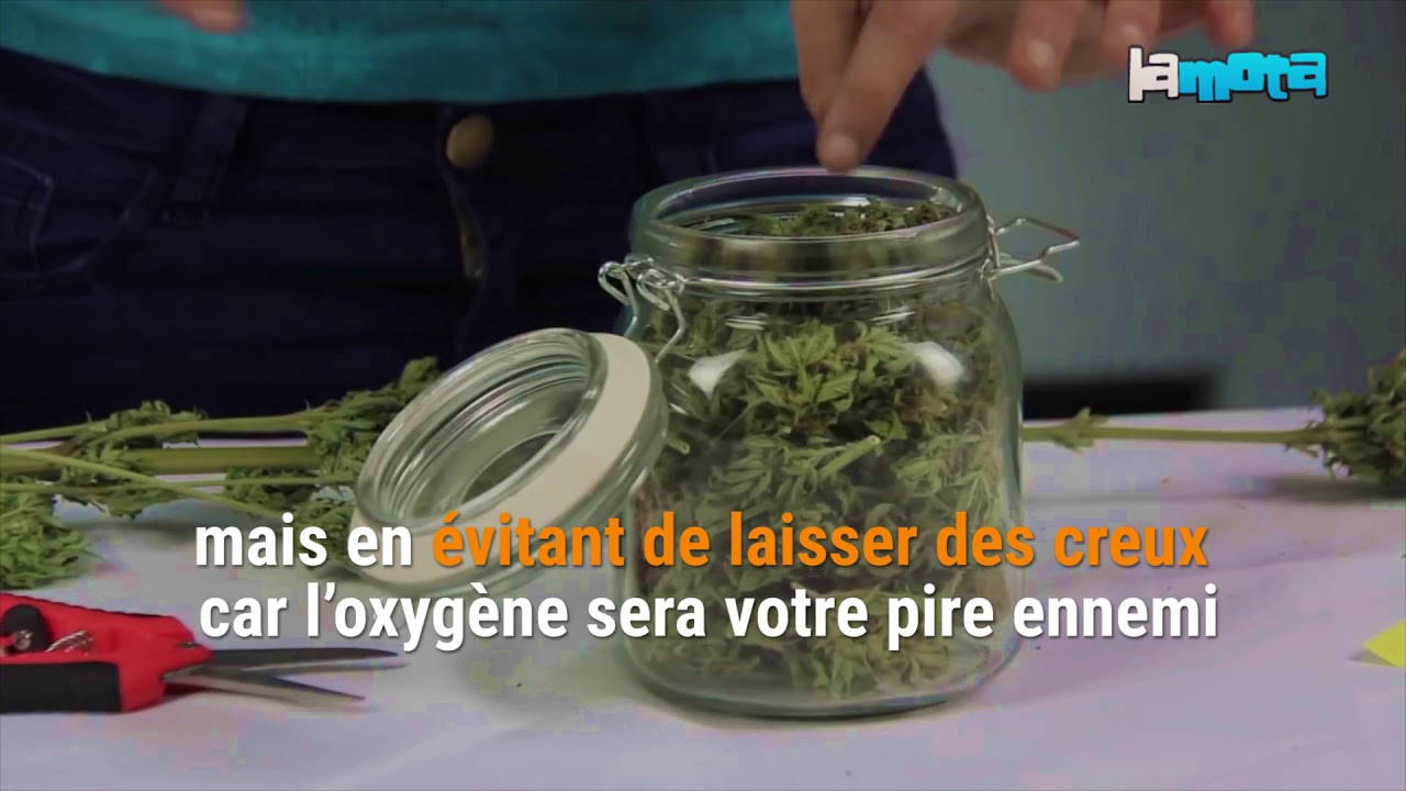 Ne sous estimez pas l&rsquo;importance du curing de vos t&ecirc;tes !