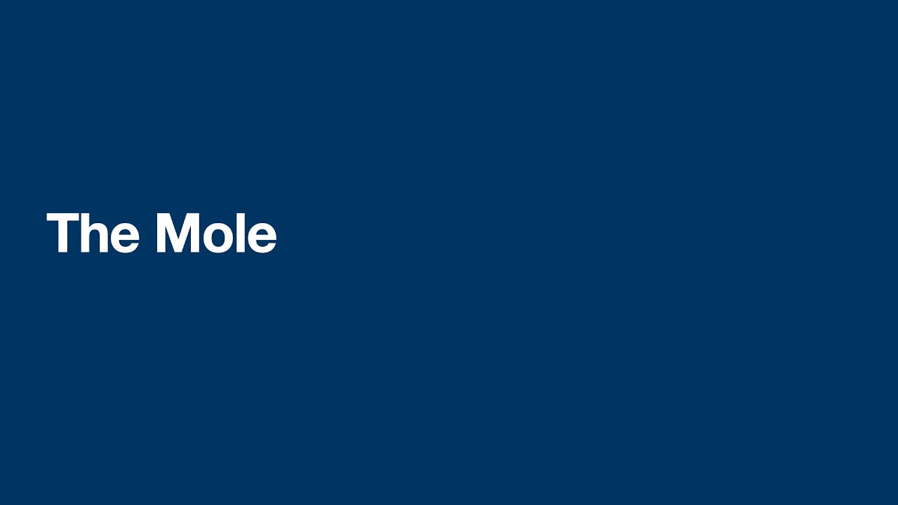 MT 2.3 The Mole (Version 2)
