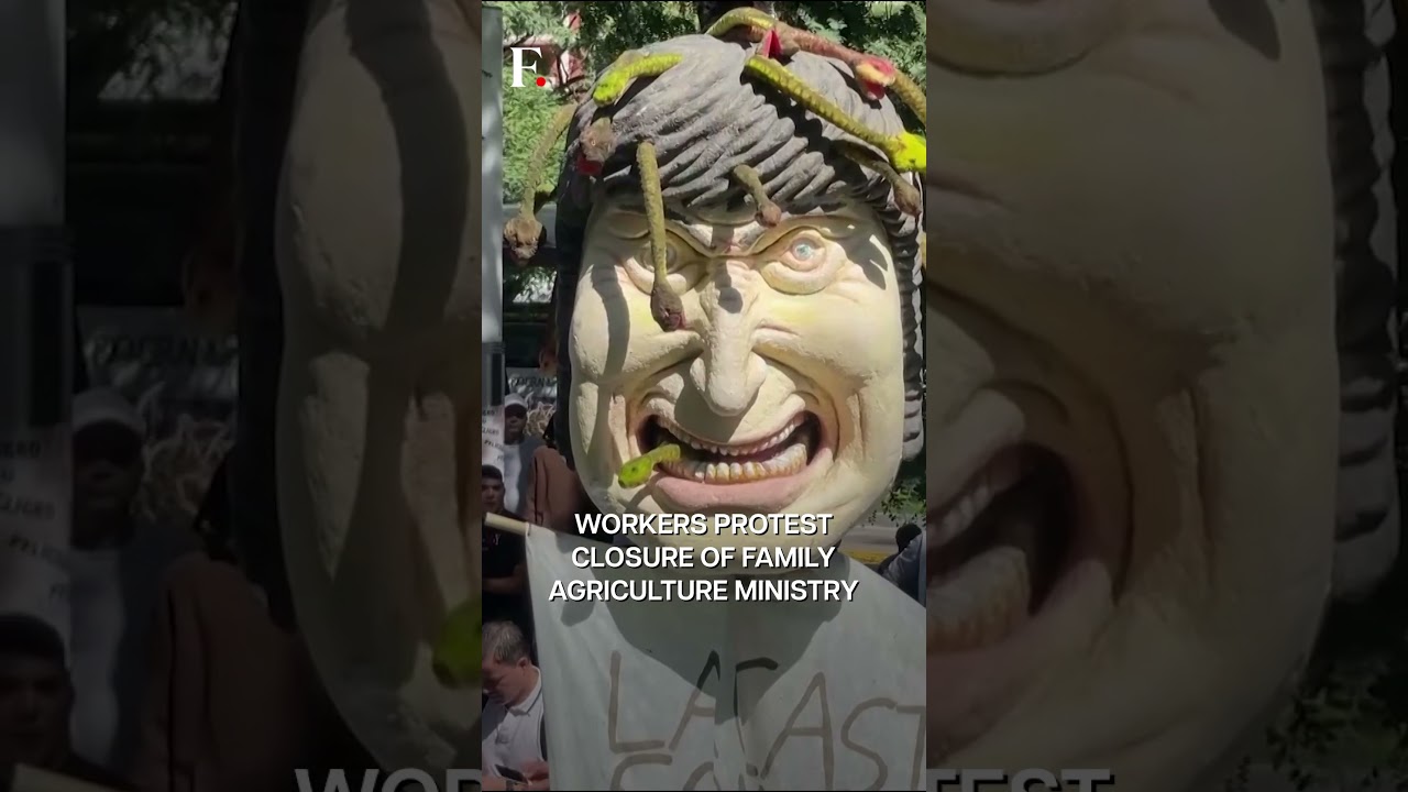 Argentina: Government Employees Protest Against Potential Job Cuts | Subscribe to Firstpost