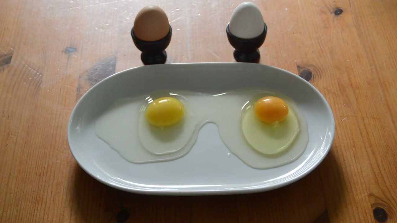 Eier bio & konventionell, kurz erkl&auml;rt