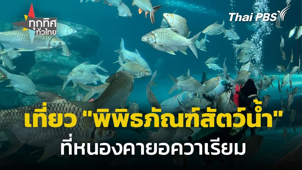 ชวนเที่ยว 