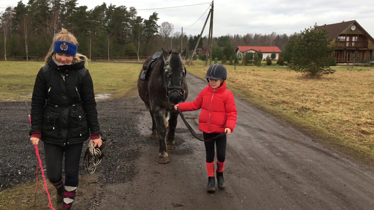 Õppevideo algajale ratsutajale