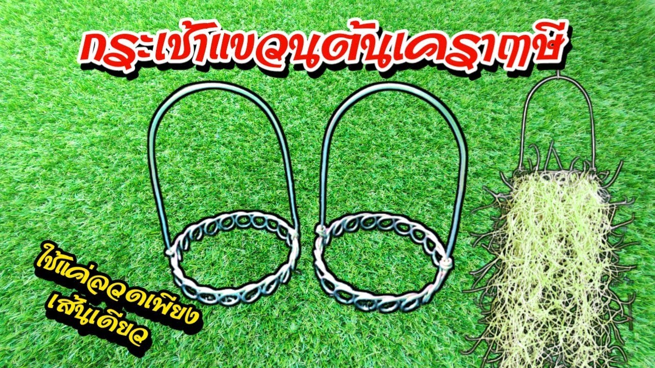 แนะนำวิธีการทำโครงลวดกระเช้าแขวนต้นเคราฤาษี | @Kaset_In_House