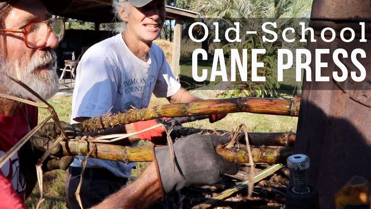 Sugarcane Harvest to Market:  How to Press & Make Syrup (Part 1)