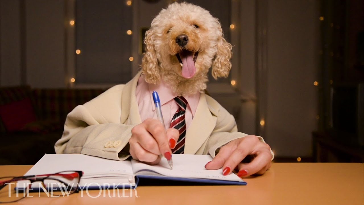 Why People Treat Their Dogs Like Humans | Annals of Obsession | The New Yorker