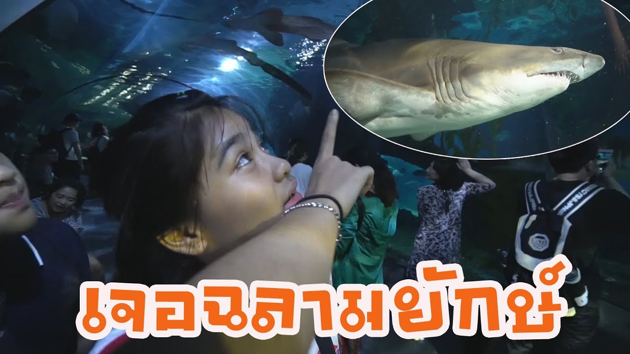 ตะลุย Ocean World เจอฉลามยักษ์ !!!